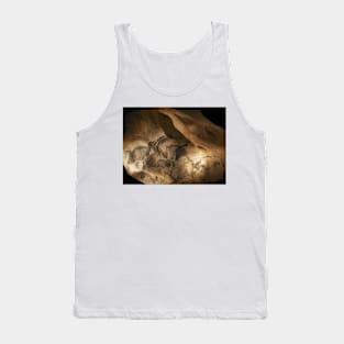 Stone-age cave paintings, Chauvet, France (C009/7644) Tank Top